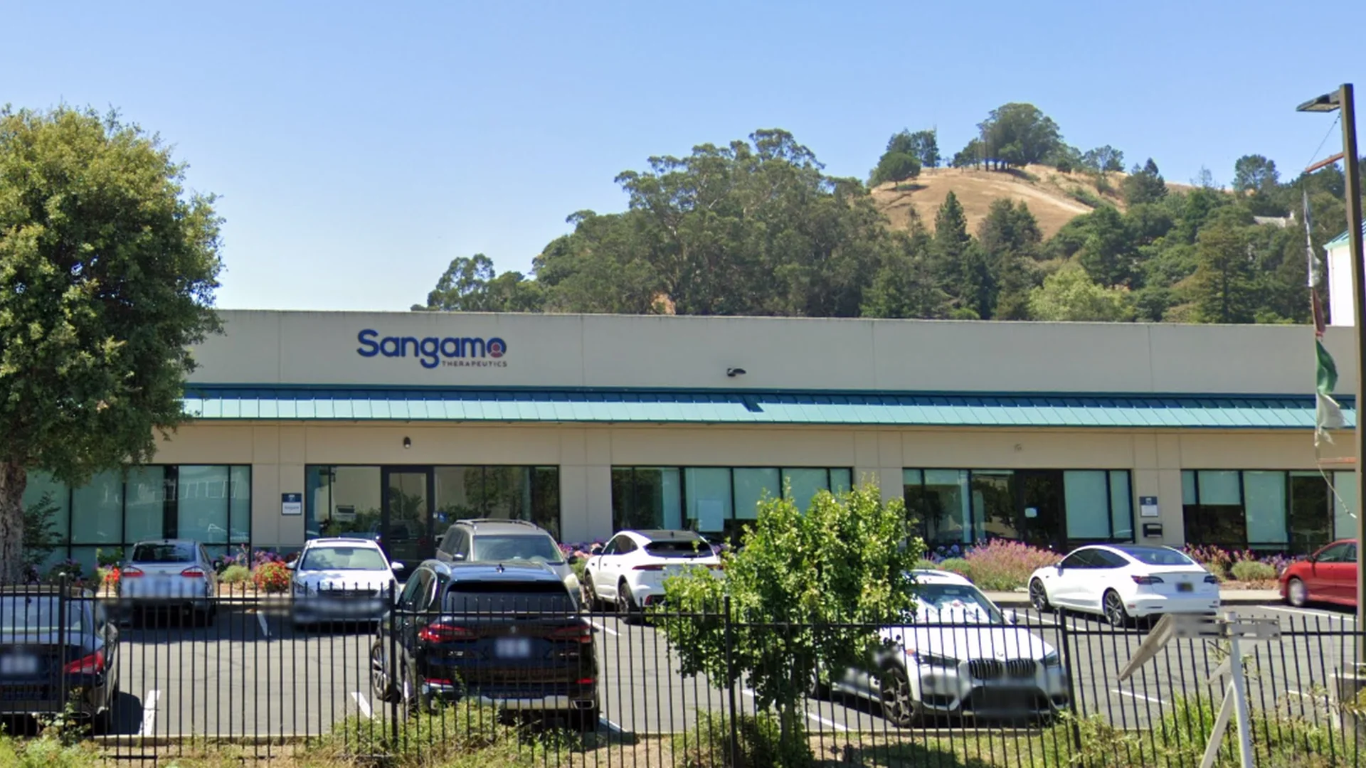 Sangamo Therapeutics